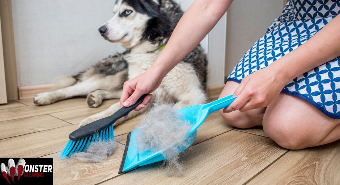 Professional residential cleaning services Sydney, apartment deep cleaning pet fur and urine