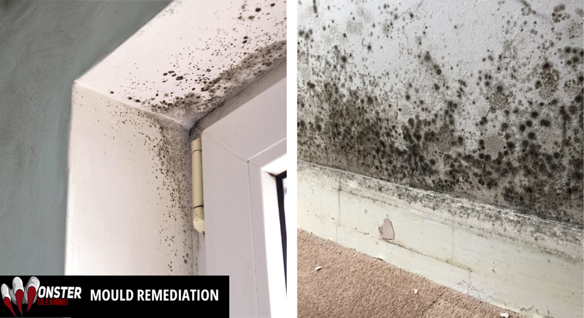 Flood damage restoration sydney, mould remediation Sydney