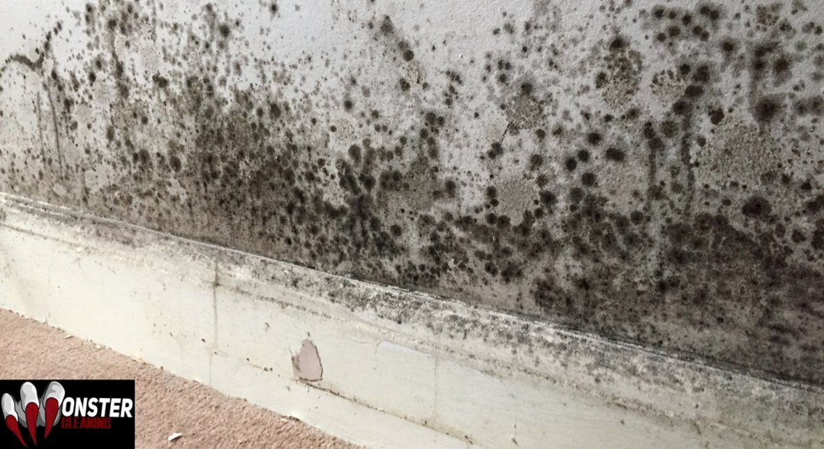 Professional mould removal Sydney, Mould remediation near me, bathroom ceiling mold removal specialists, mould cleaning services, black mould removal cost