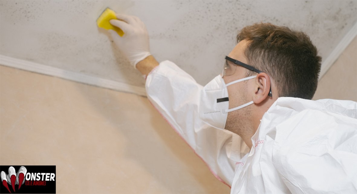 Professional mould removal Sydney, Mould remediation near me, bathroom ceiling mold removal